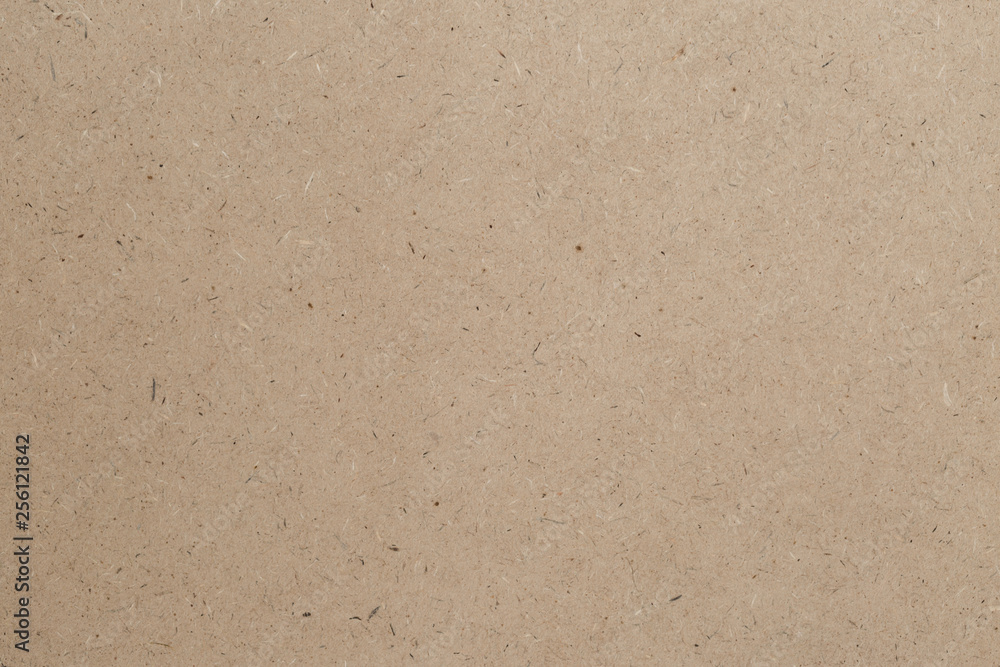 Texture Sheet of brown paper Texture Sheet of brown paper