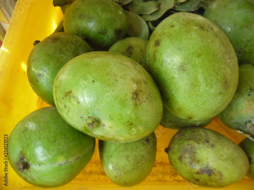 THESE ARE MANGOES 