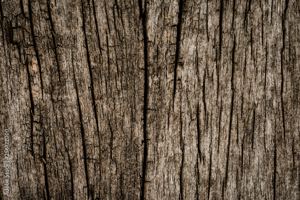 Dark Grey cement textured wall background Dark Grey cement textured wall background