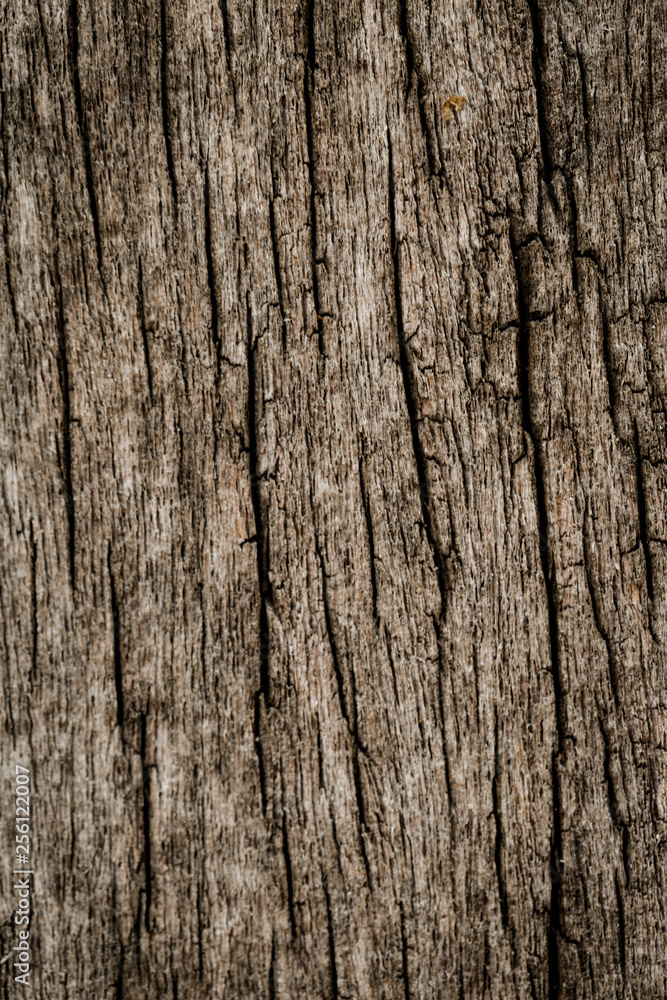 Dark Grey cement textured wall background Dark Grey cement textured wall background