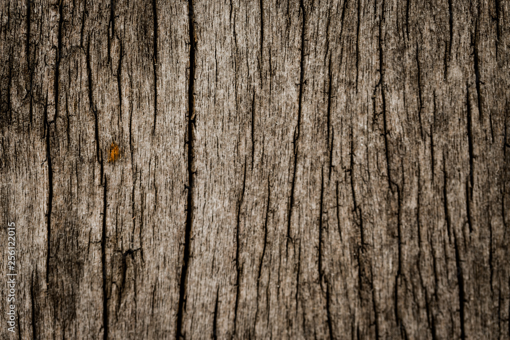 Dark Grey cement textured wall background Dark Grey cement textured wall background