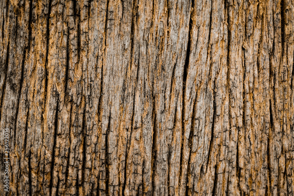 Dark Grey cement textured wall background Dark Grey cement textured wall background