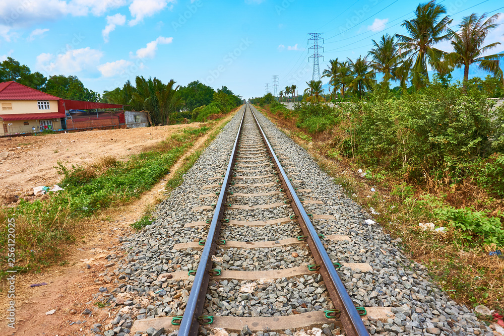 Obraz premium railroad train tracks goes to horizon with palm trees