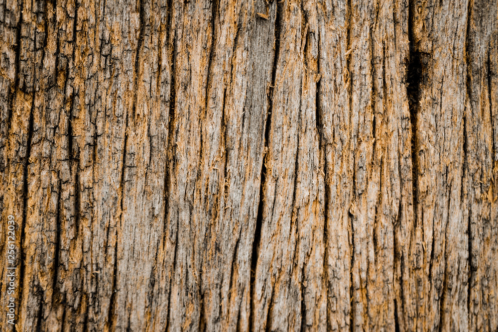 Dark Grey cement textured wall background Dark Grey cement textured wall background