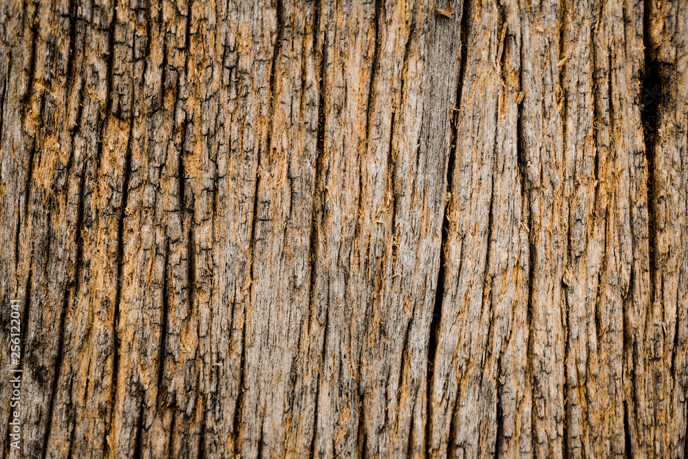 Dark Grey cement textured wall background Dark Grey cement textured wall background