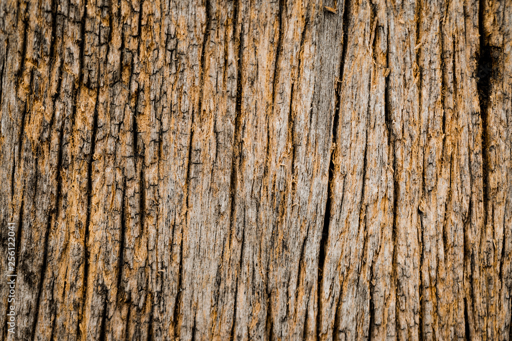 Dark Grey cement textured wall background