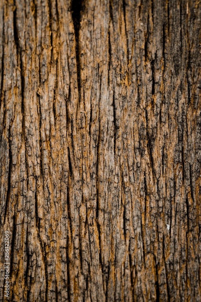 Dark Grey cement textured wall background Dark Grey cement textured wall background