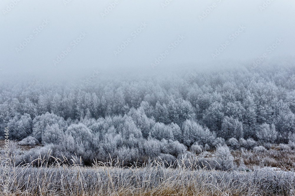 winter mountain landscape with snowy trees and snow winter mountain landscape with snowy trees and snow