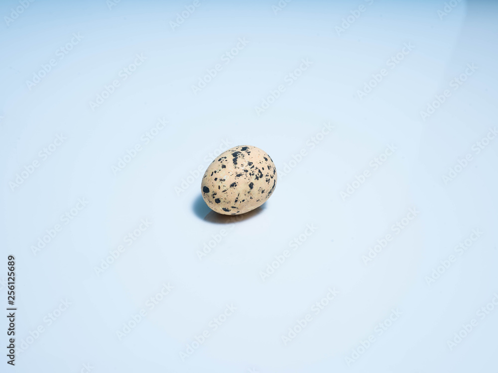 Exotic eggs on pastel backgrounds individually. Exotic eggs on pastel backgrounds individually.
