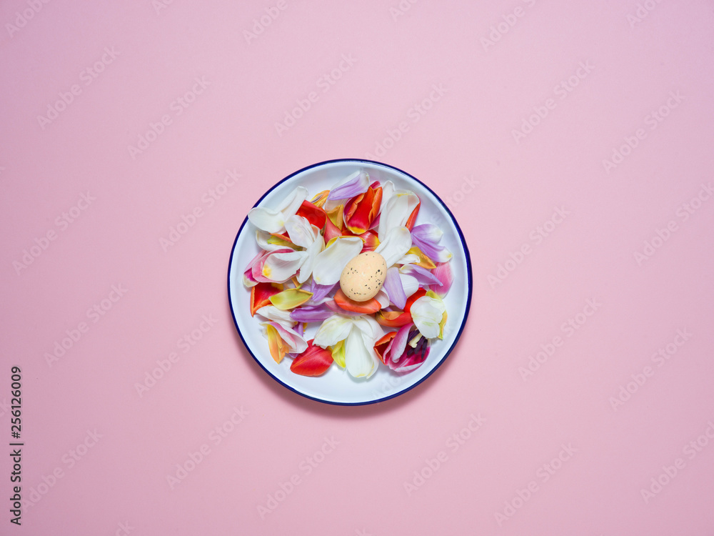 A white plate on a pink background with an Easter decoration. A white plate on a pink background with an Easter decoration.
