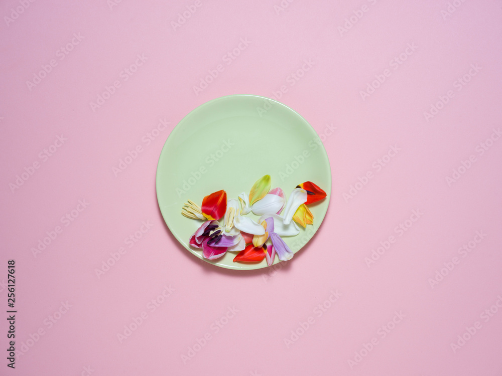 A green plate on a pink background with an Easter decoration. A green plate on a pink background with an Easter decoration.