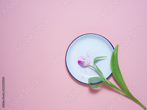 A white plate on a pink background with tulips