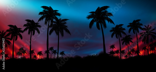 Fototapeta Naklejka Na Ścianę i Meble -  Night landscape with stars, sunset, stars. Silhouette coconut palm trees Vintage tone. Lights of the night city, neon, coast.