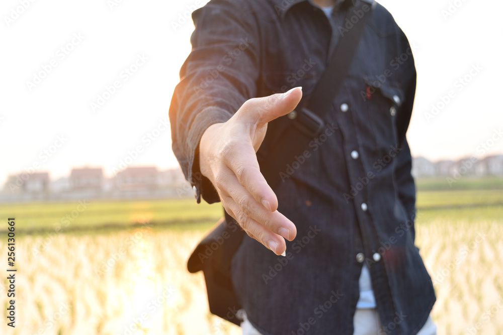 Hands reaching out to help in blurred sunlight background. Help concept. Hands reaching out to help in blurred sunlight background. Help concept.