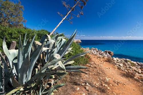 Mallorca beach at the day