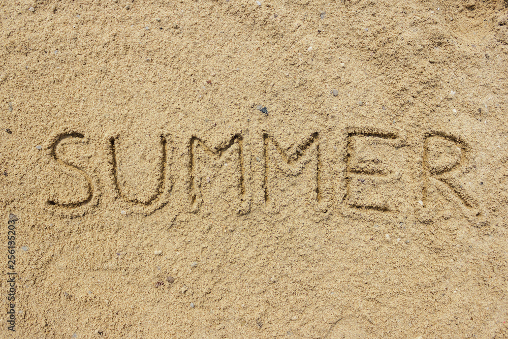 Fototapeta premium Summer word written on the sand at the beach, natural background