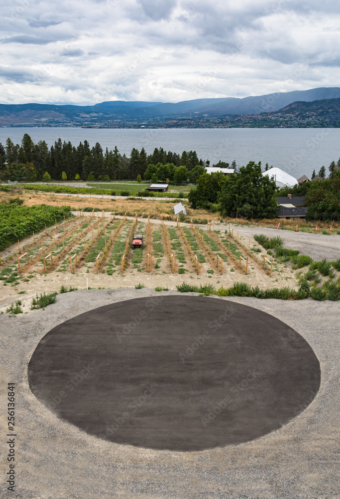 Vineyard with round helipad on the lake shore Vineyard with round helipad on the lake shore