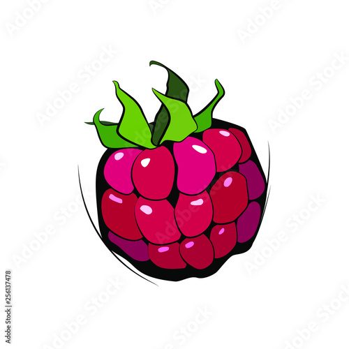 Raspberries on a white background close up