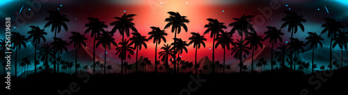 Night landscape with stars  sunset  stars. Silhouette coconut palm trees Vintage tone. Lights of the night city  neon  coast.