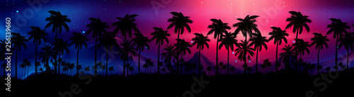 Night landscape with stars, sunset, stars. Silhouette coconut palm trees Vintage tone. Lights of the night city, neon, coast. © MiaStendal