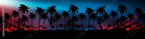 Night landscape with stars, sunset, stars. Silhouette coconut palm trees Vintage tone. Lights of the night city, neon, coast.