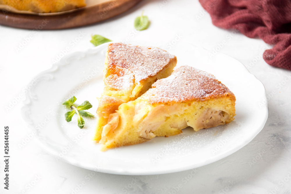 Apple pie with powdered sugar, classic Charlotte, biscuit dough. Golden brown, homemade food Apple pie with powdered sugar, classic Charlotte, biscuit dough. Golden brown, homemade food
