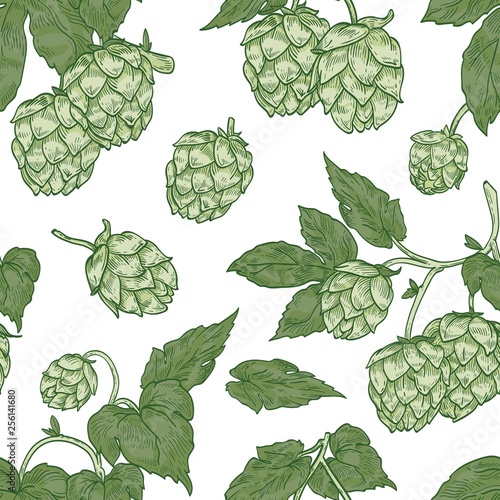 Natural seamless pattern with hop flowers on white background. Botanical backdrop with plant cultivated for beer brewing. Realistic vector illustration in elegant vintage style for wrapping paper.