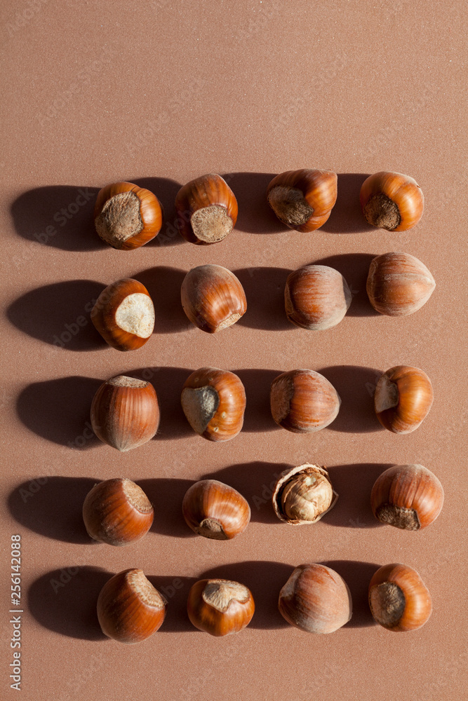 square arrangement of hazelnuts with shadows on brown base square arrangement of hazelnuts with shadows on brown base