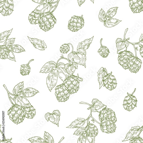 Monochrome seamless pattern with hop flower buds hand drawn with contour lines on white background. Natural backdrop with perennial plant. Elegant realistic vector illustration for textile print.