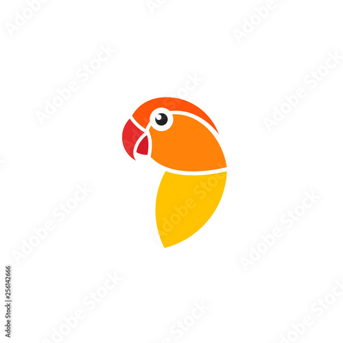 Lovebird. Isolated parrot on white background