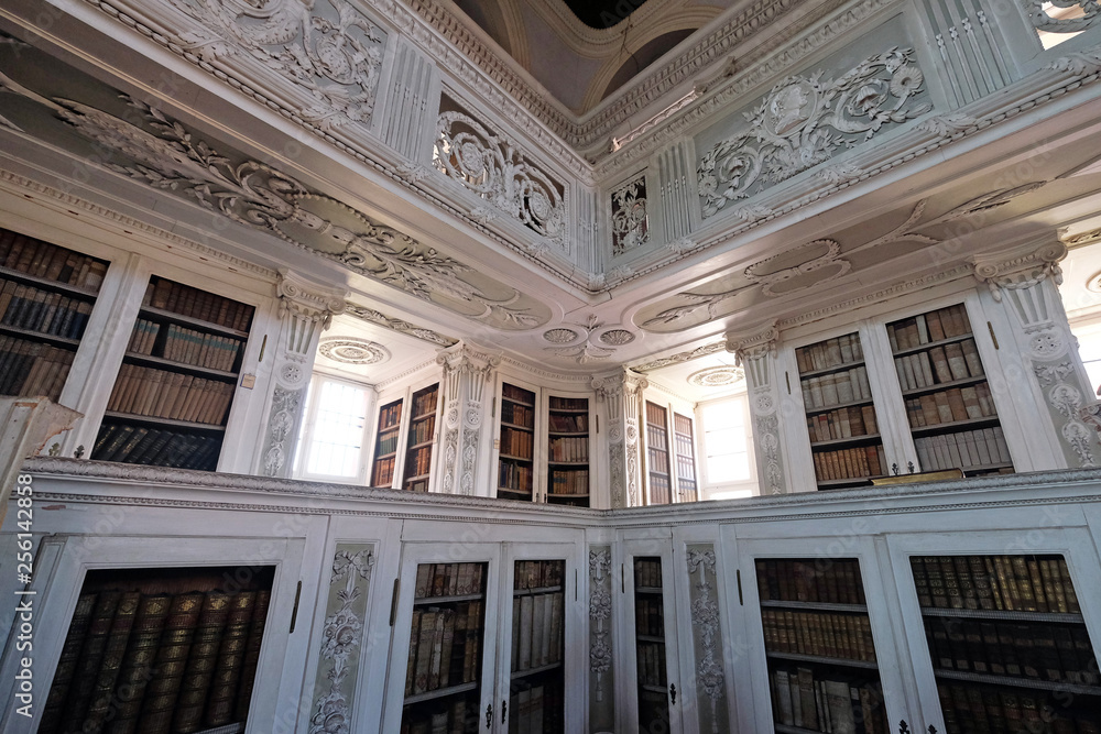 Obraz premium Library in Amorbach Benedictine abbey in the district of Miltenberg in Lower Franconia in Bavaria, Germany 