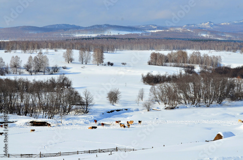 South Urals. The village is located in the mountains. Snow starts to melt only at the end of March