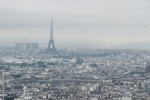 Buildings and skyline of Paris, France with Eiffel Tower, viewed from top of the Sacre-coeur in Montmartre
