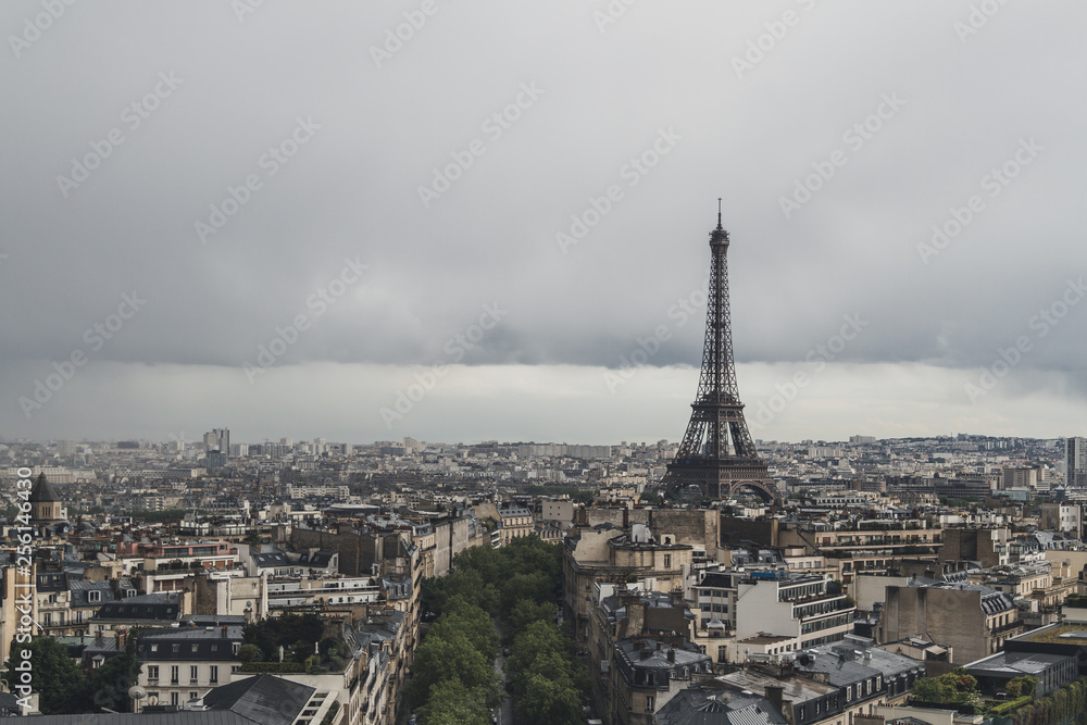 Eiffel Tower over buildings of Paris, France, viewed from Arc de Triomphe