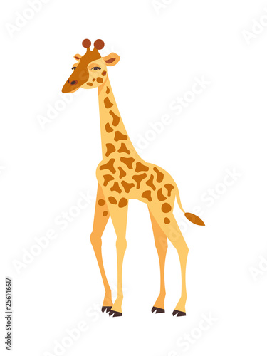 Cartoon giraffe vector