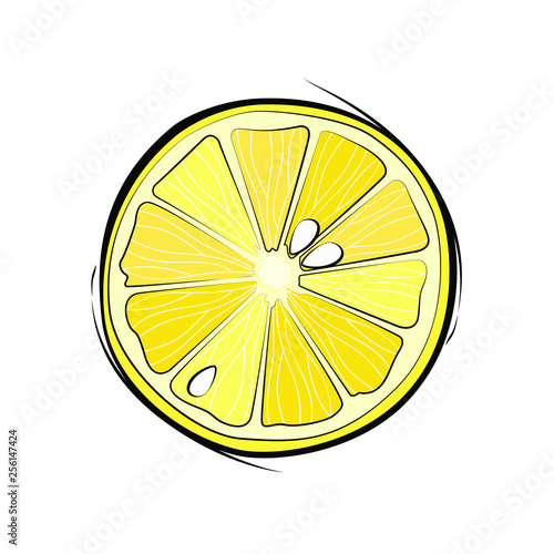 Sliced ​​lemon with seeds on white background