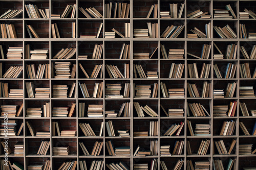 Books on shelves in library