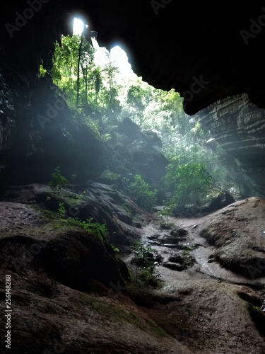 cave in forest - circuito PETAR Eldorado Sao Paulo Brazil