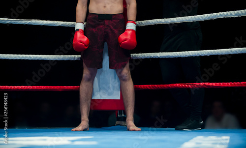  The professional boxer isolated on prize ring background. Fit muscular caucasian athlete fighting