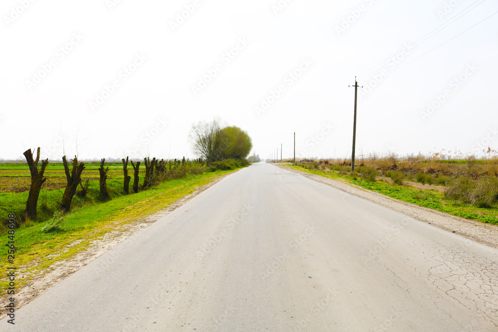 Fototapeta premium Road through the countryside in spring time