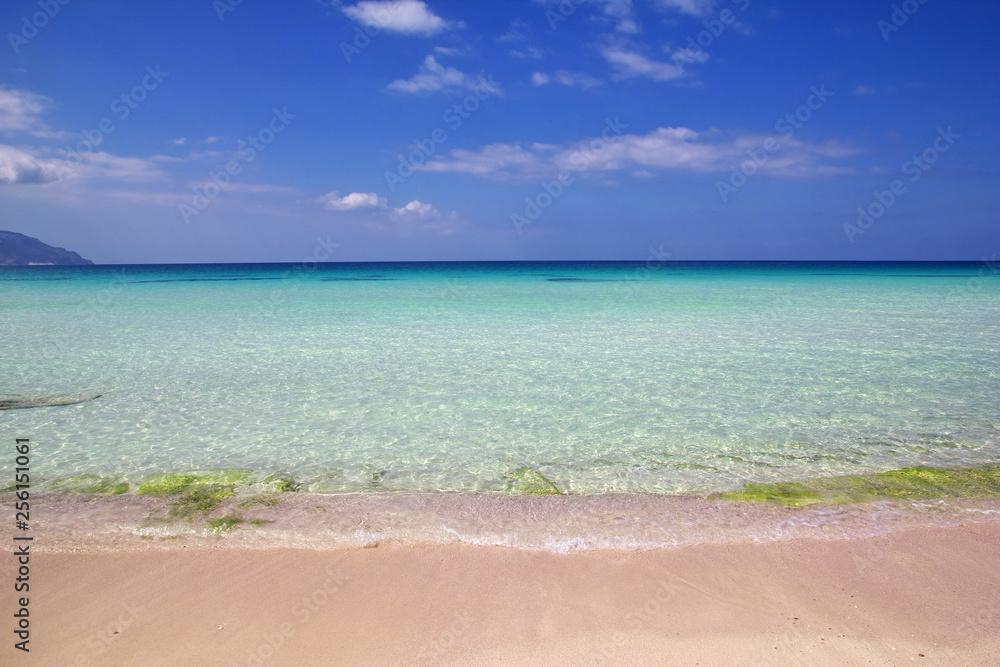 Obraz premium Socotra island, Yemen, Indian ocean