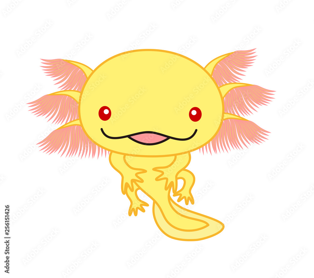 ウーパールーパー 全身 Axolotl ゴールデン アルビノ Stock イラスト Adobe Stock