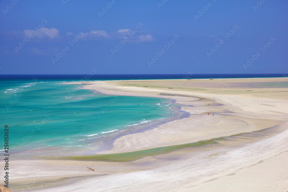 Socotra island, Yemen, Indian ocean