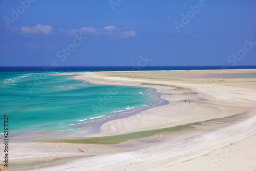 Obraz na płótnie Socotra island, Yemen, Indian ocean w salonie