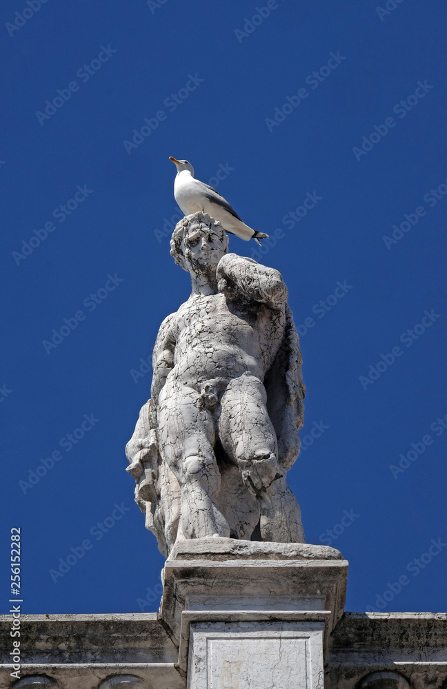 Statue at the top of National Library of St Mark`s Biblioteca Marciana, Venice, Italy, UNESCO World Heritage Sites