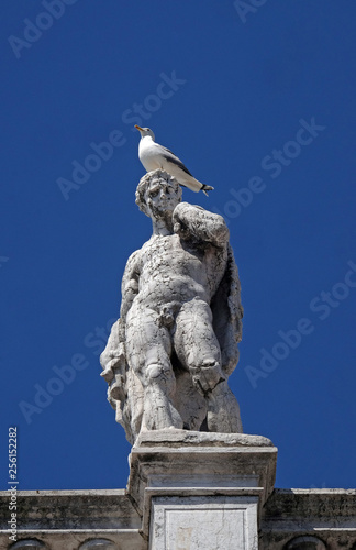 Statue at the top of National Library of St Mark`s Biblioteca Marciana, Venice, Italy, UNESCO World Heritage Sites © zatletic