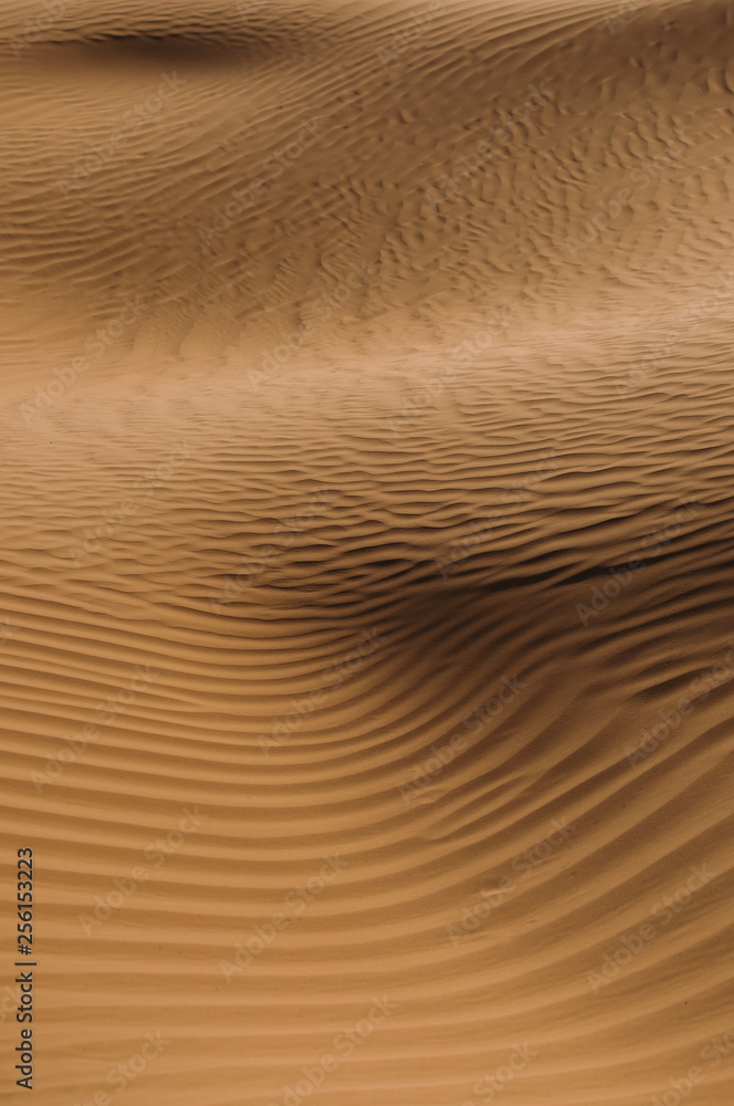 Desert with sand dunes on a clear sunny day. Desert landscape. Desert with sand dunes on a clear sunny day. Desert landscape.