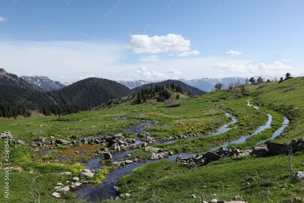 Beautiful mountain scenery with streams