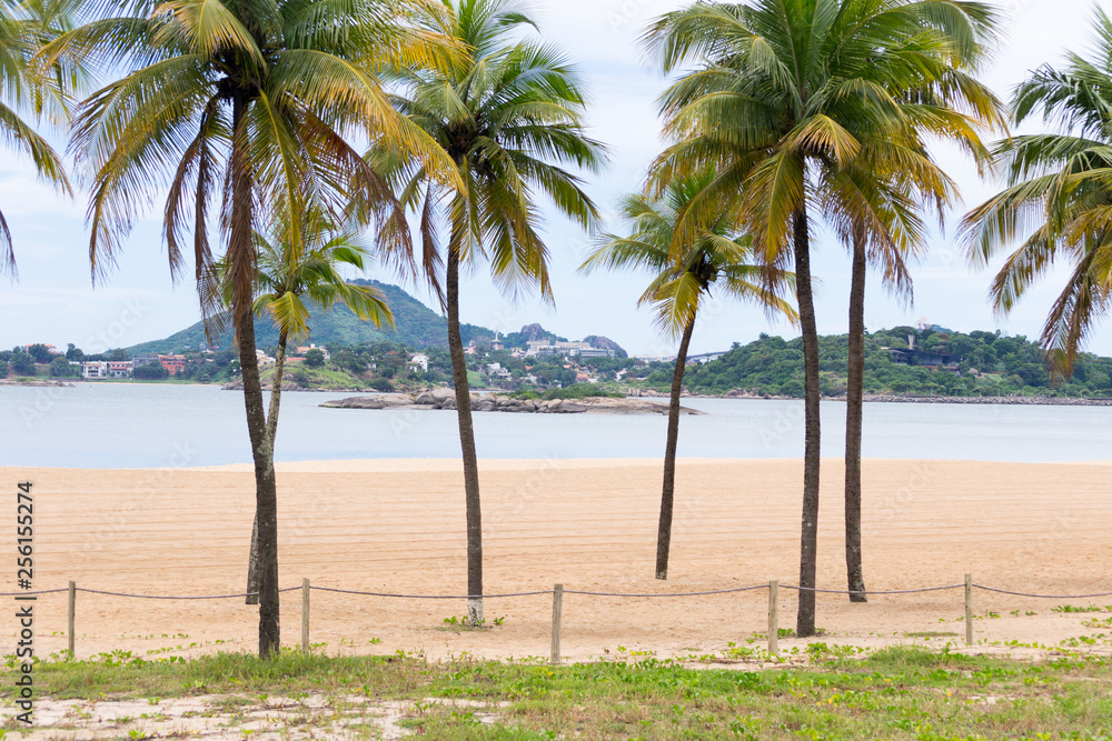 The lovely seafront and main beach of the city of Vitoria in the Espirito Santo state in Brazil. Some characteristic palm trees in the foreground