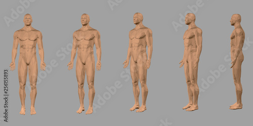 Set with a polygonal body of a man. Front view, side. 3D. Nude polygonal male model. Vector illustration